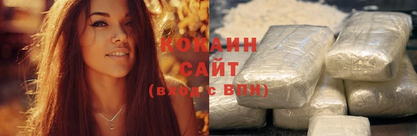 гашик Аркадак