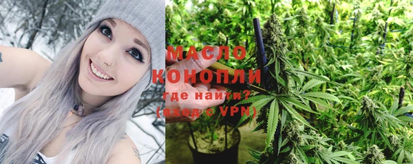 гашик Аркадак