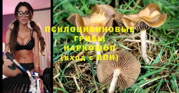 а пвп мука Арсеньев